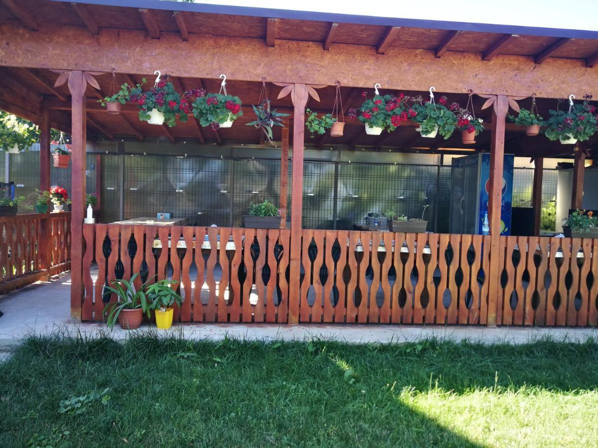 Hotel Vila Baciu Tuzla Exterior foto