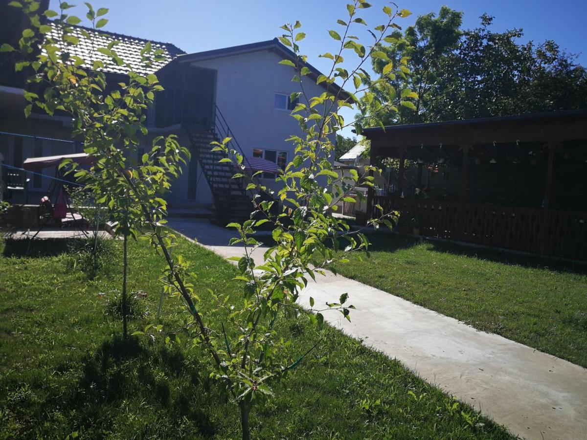 Hotel Vila Baciu Tuzla Exterior foto